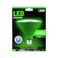 Feit Electric LED PAR38 E26 GREEN 120W PAR38G10KLED/BX